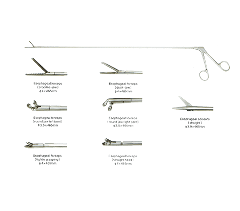 Esophagoscope Instruments