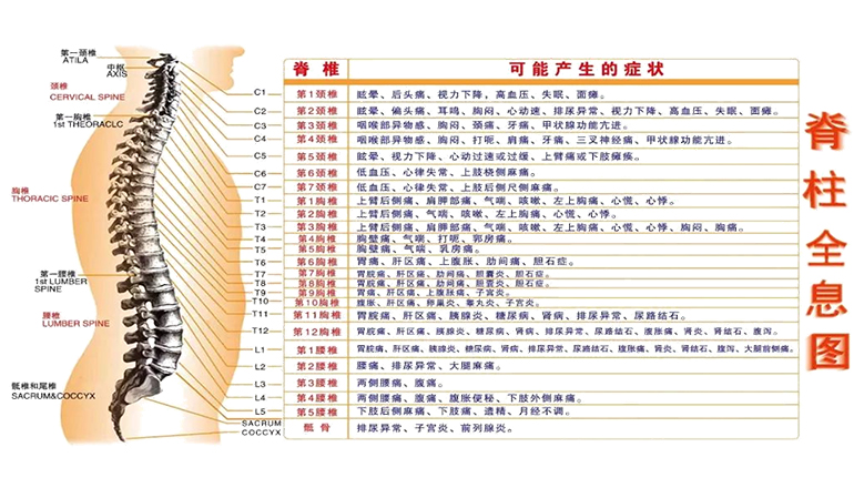 【Orthopedics】The development history and application of foraminal mirror.